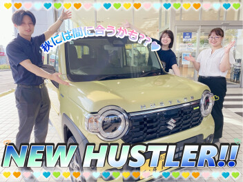 ハスラーの在庫車を豊富に取り揃えております☻
